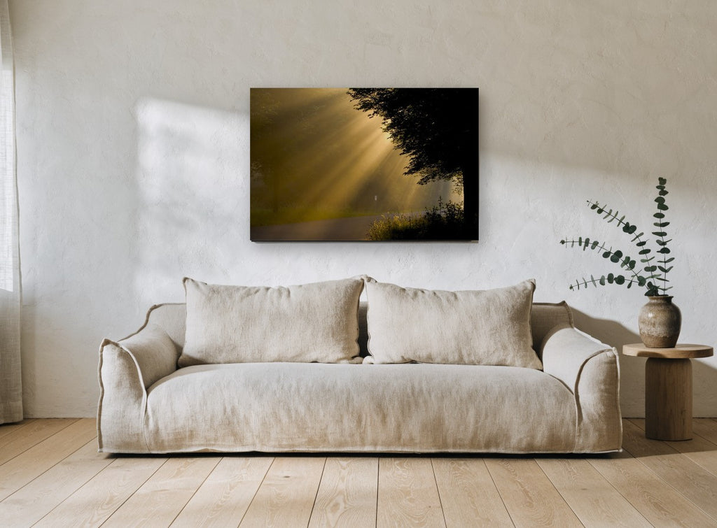 Golden Rays Roadside landscape canvas print on the wall of a living room