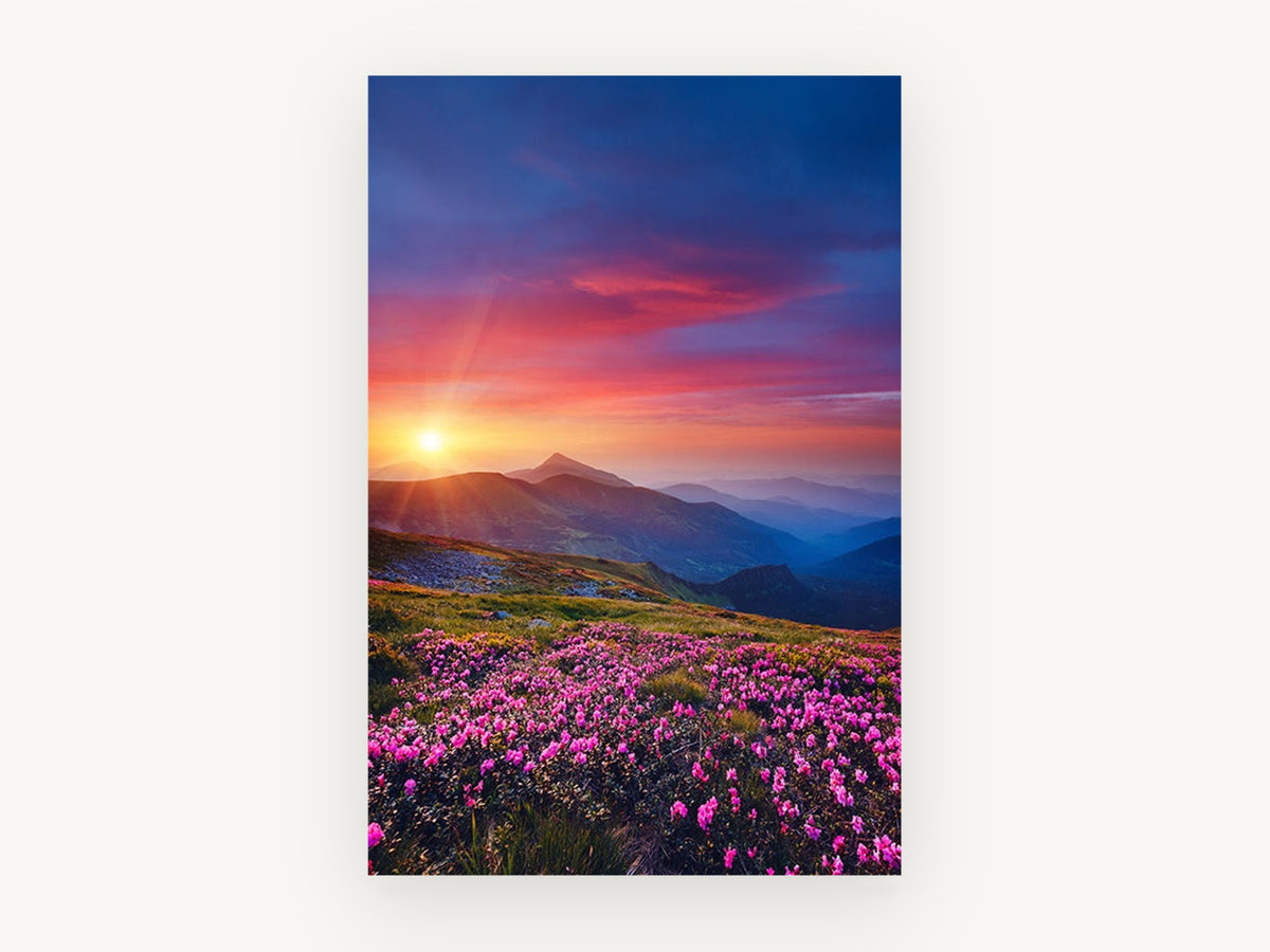 Alpine Sunset Blooms, floral canvas wall art print, front view