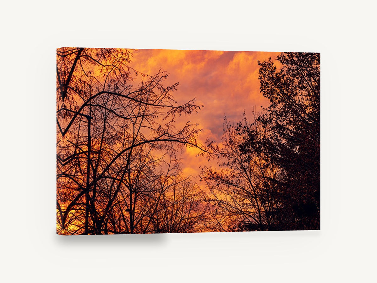 Ember Sky Silhouettes, orange sunset tree silhouette photograph, landscape canvas wall art print ready to hang