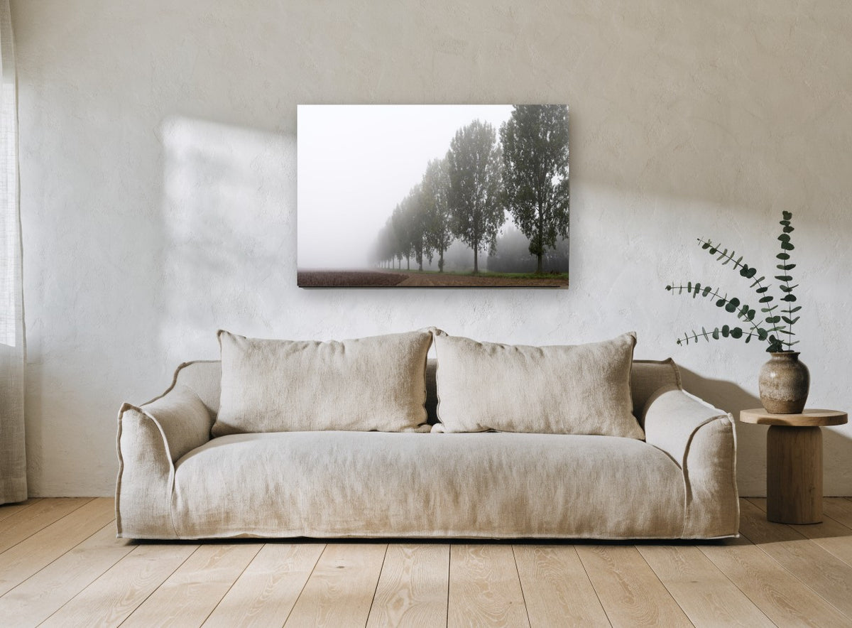 Poplar Row in Fog landscape canvas print on the wall of a living room