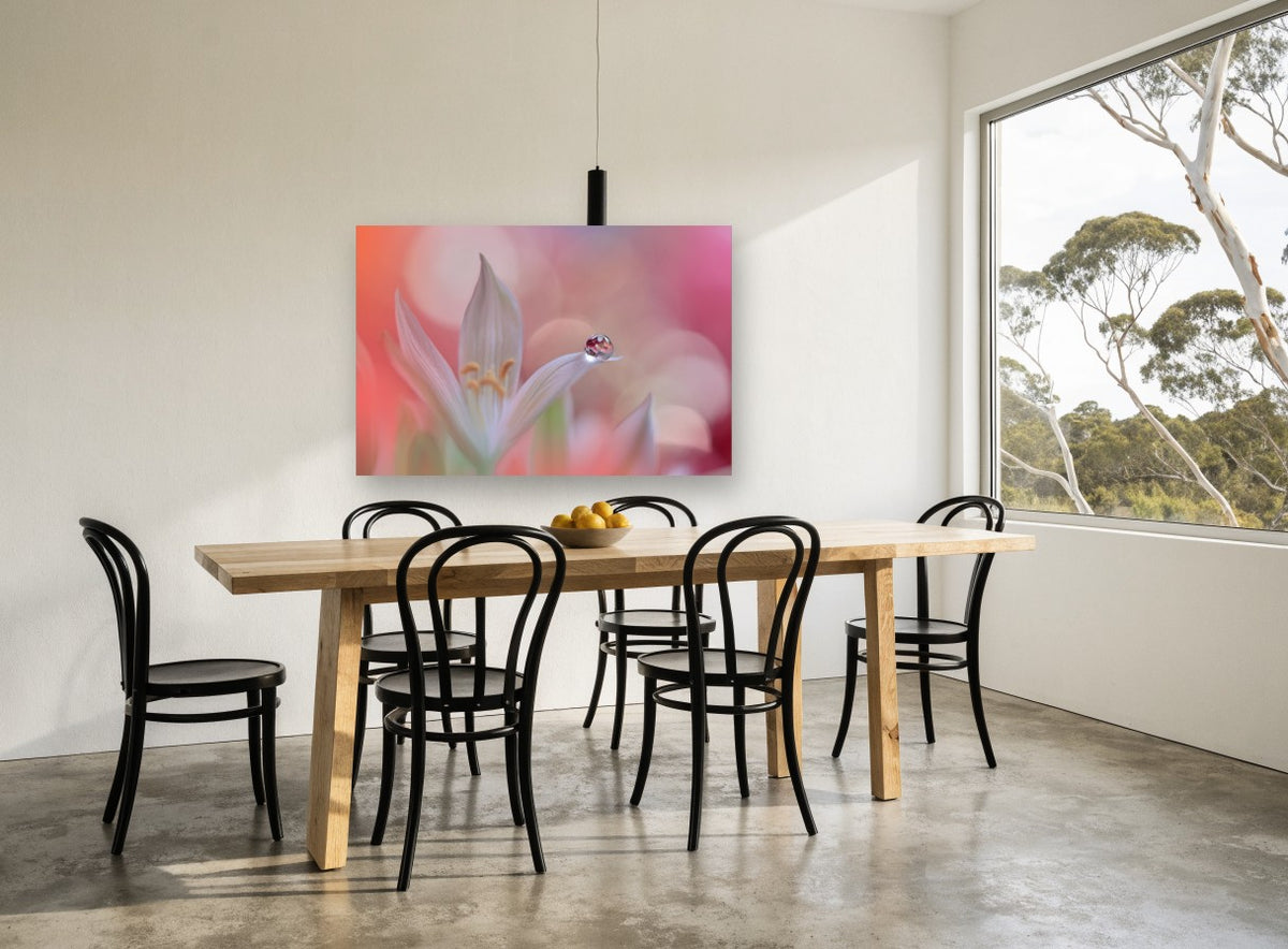 Dewdrop on White Petal floral canvas print on the wall of a dining room