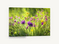 Meadow Thistle Glow, wildflower meadow photography purple yellow, floral canvas wall art print ready to hang