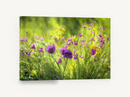Meadow Thistle Glow, wildflower meadow photography purple yellow, floral canvas wall art print ready to hang