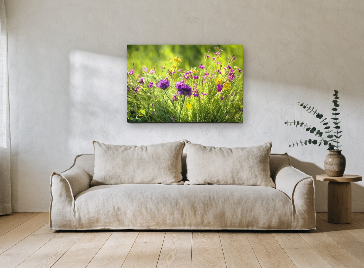 Meadow Thistle Glow floral canvas print on the wall of a living room