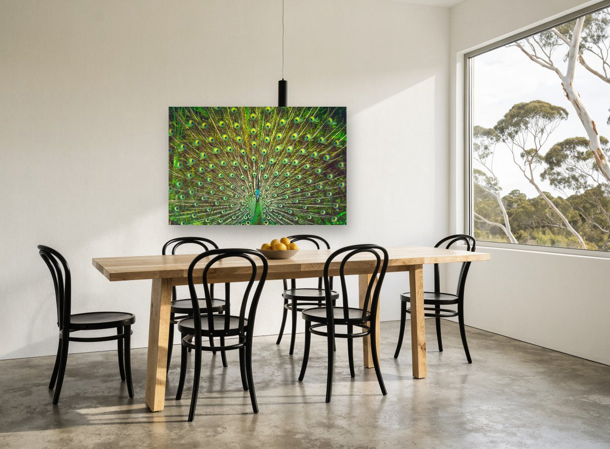 Peacock Fan Display animal canvas print on the wall of a dining room