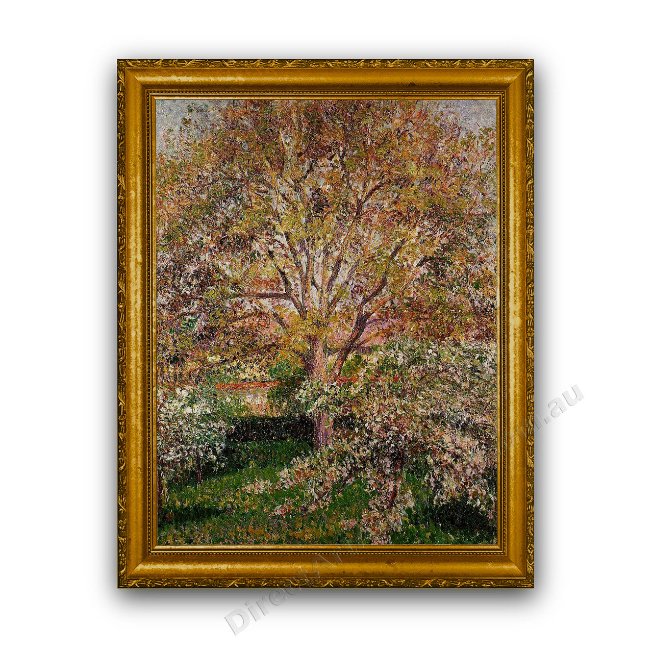 Gold Classic Frame