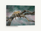 Leopard at Rest, resting leopard in tree photograph, animal canvas wall art print ready to hang