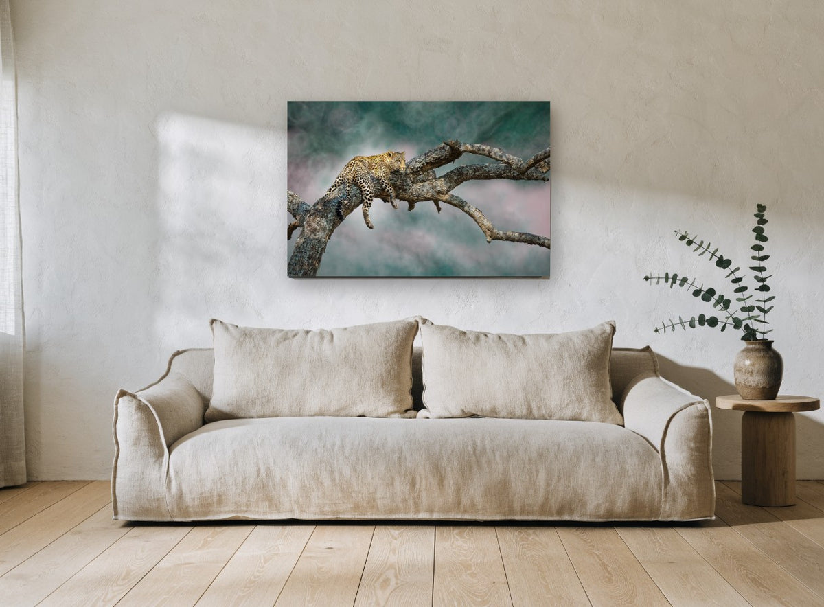 Leopard at Rest animal canvas print on the wall of a living room