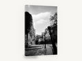 Cobbled Lane Bollards, paris cobbled street black and white photograph, city canvas wall art print ready to hang