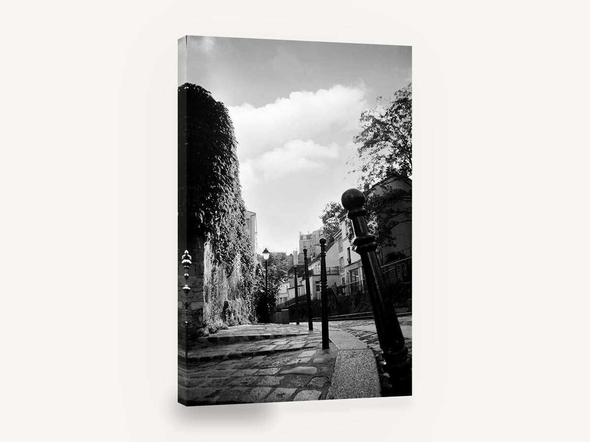 Cobbled Lane Bollards, paris cobbled street black and white photograph, city canvas wall art print ready to hang