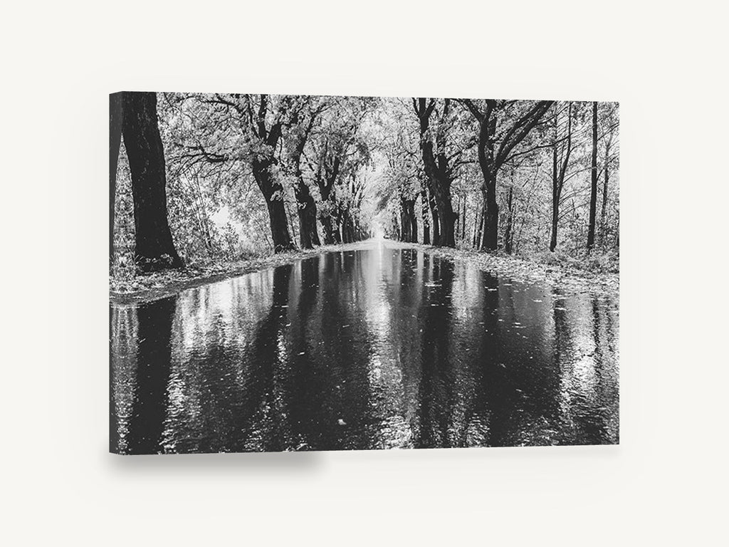 Rain Along the Avenue, black and white tree avenue photograph, landscape canvas wall art print ready to hang