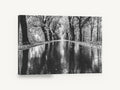 Rain Along the Avenue, black and white tree avenue photograph, landscape canvas wall art print ready to hang