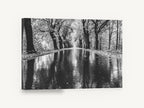 Rain Along the Avenue, black and white tree avenue photograph, landscape canvas wall art print ready to hang
