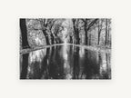 Rain Along the Avenue, black and white tree avenue photograph, landscape canvas wall art print, front view