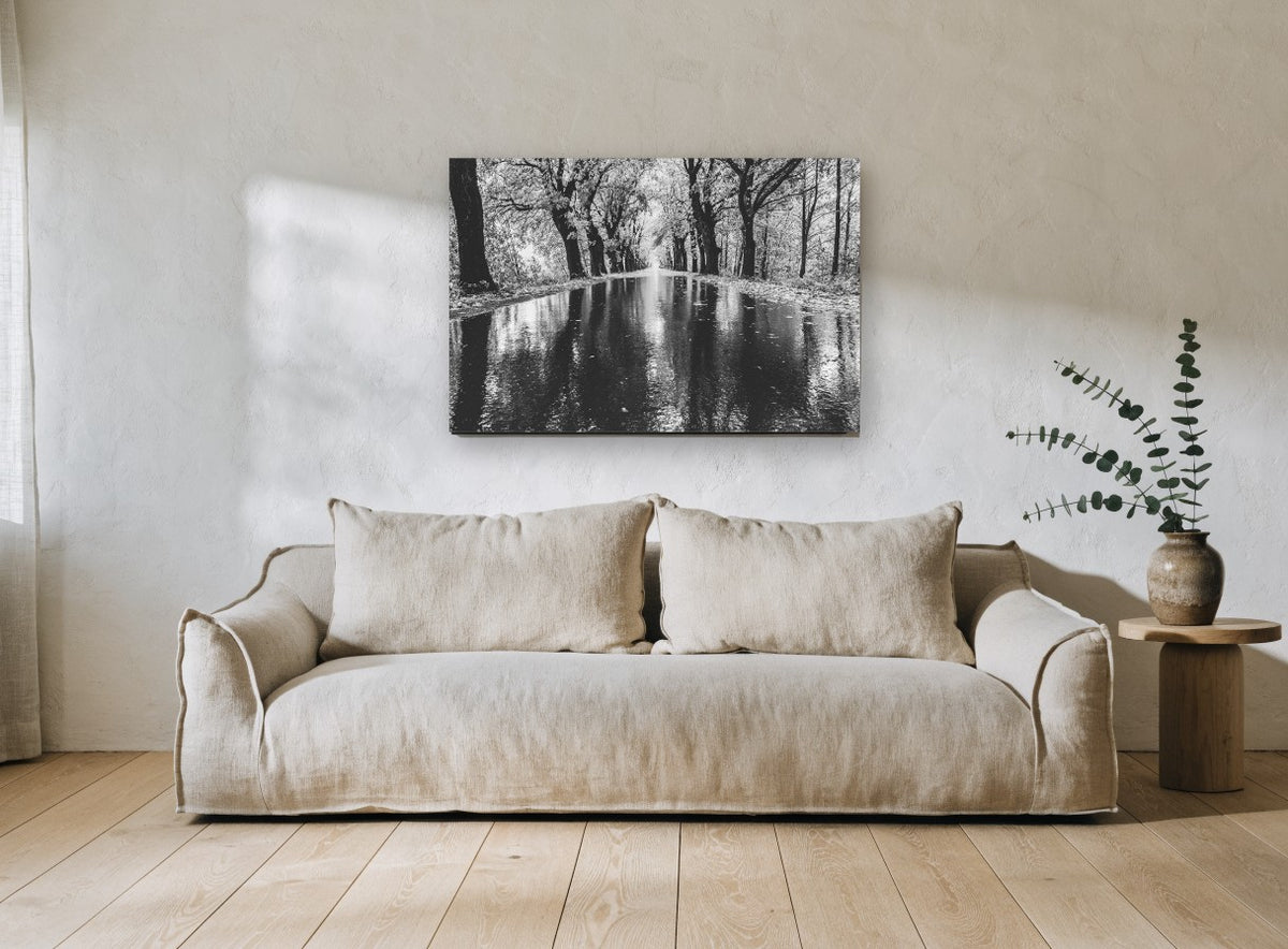 Rain Along the Avenue landscape canvas print on the wall of a living room