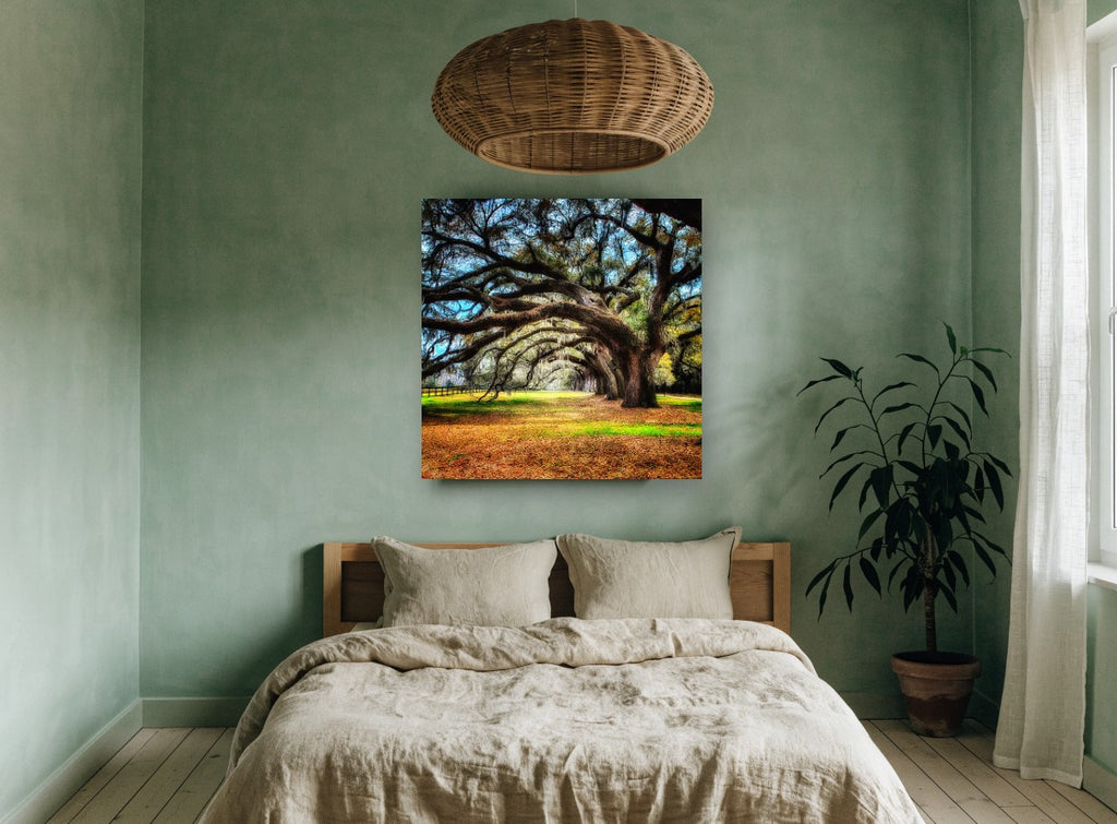 Arching Oak Avenue floral canvas print on the wall of a bedroom