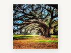 Arching Oak Avenue, floral canvas wall art print, front view