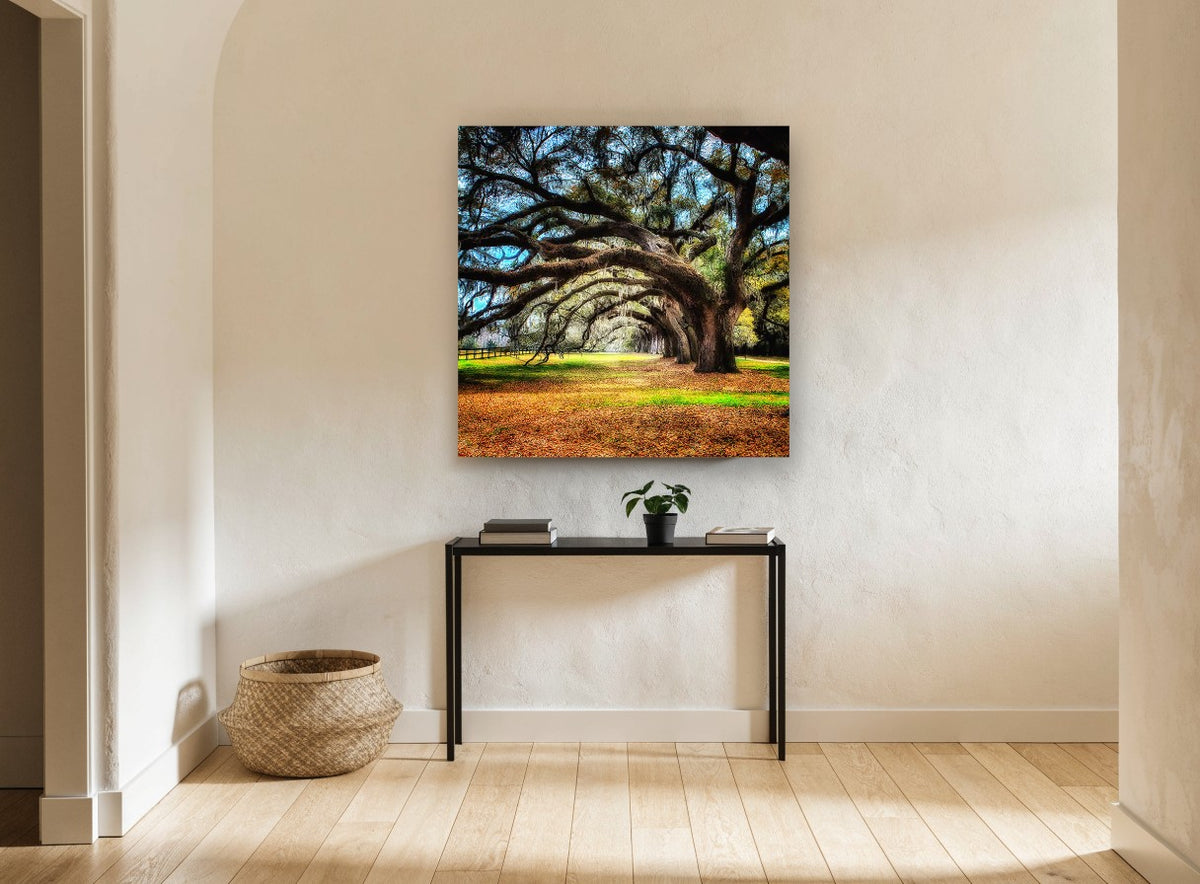 Arching Oak Avenue floral canvas print on the wall of a hallway