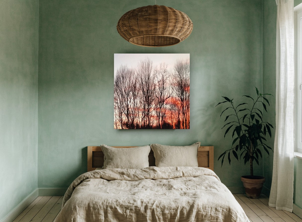 Bare Trees at Dusk floral canvas print on the wall of a bedroom