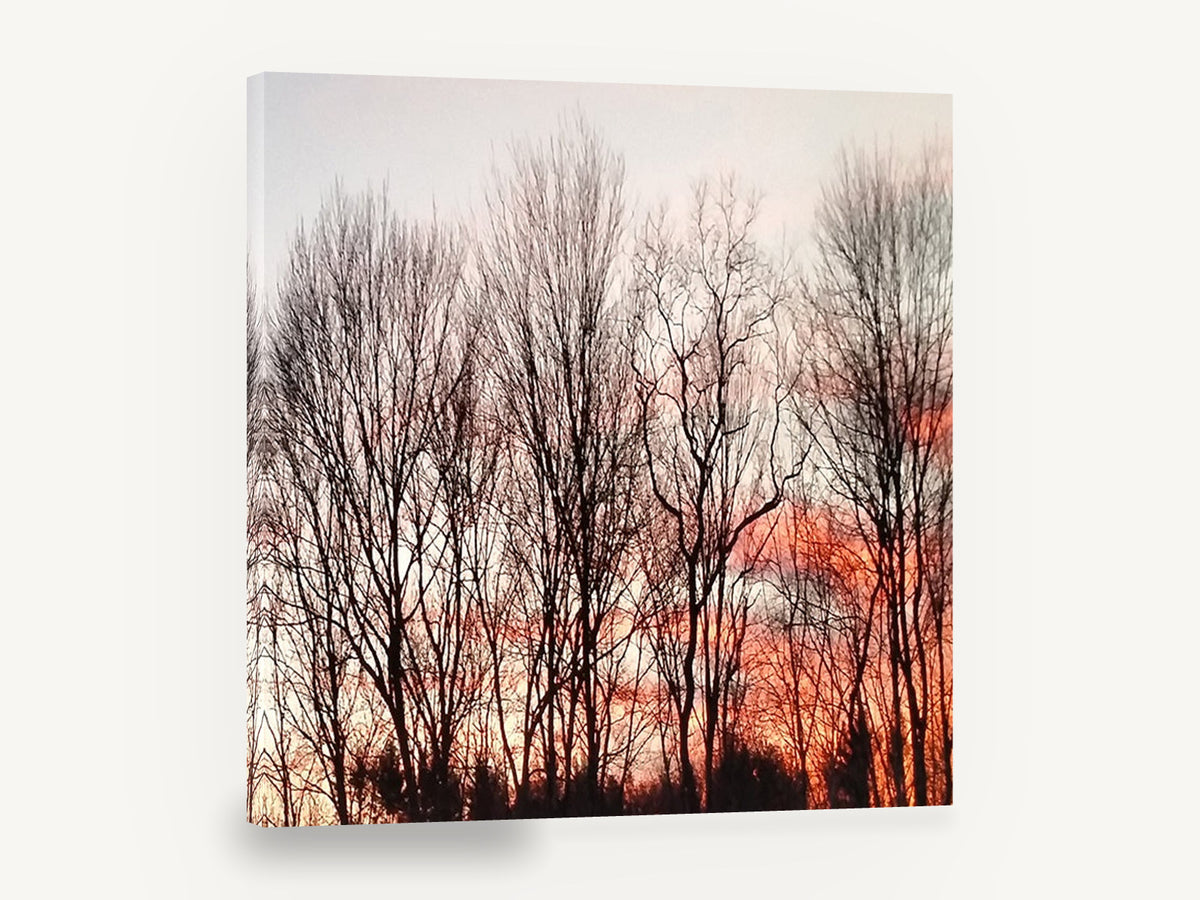 Bare Trees at Dusk, bare trees sunset sky photograph, floral canvas wall art print ready to hang