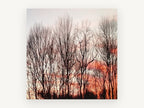 Bare Trees at Dusk, floral canvas wall art print, front view