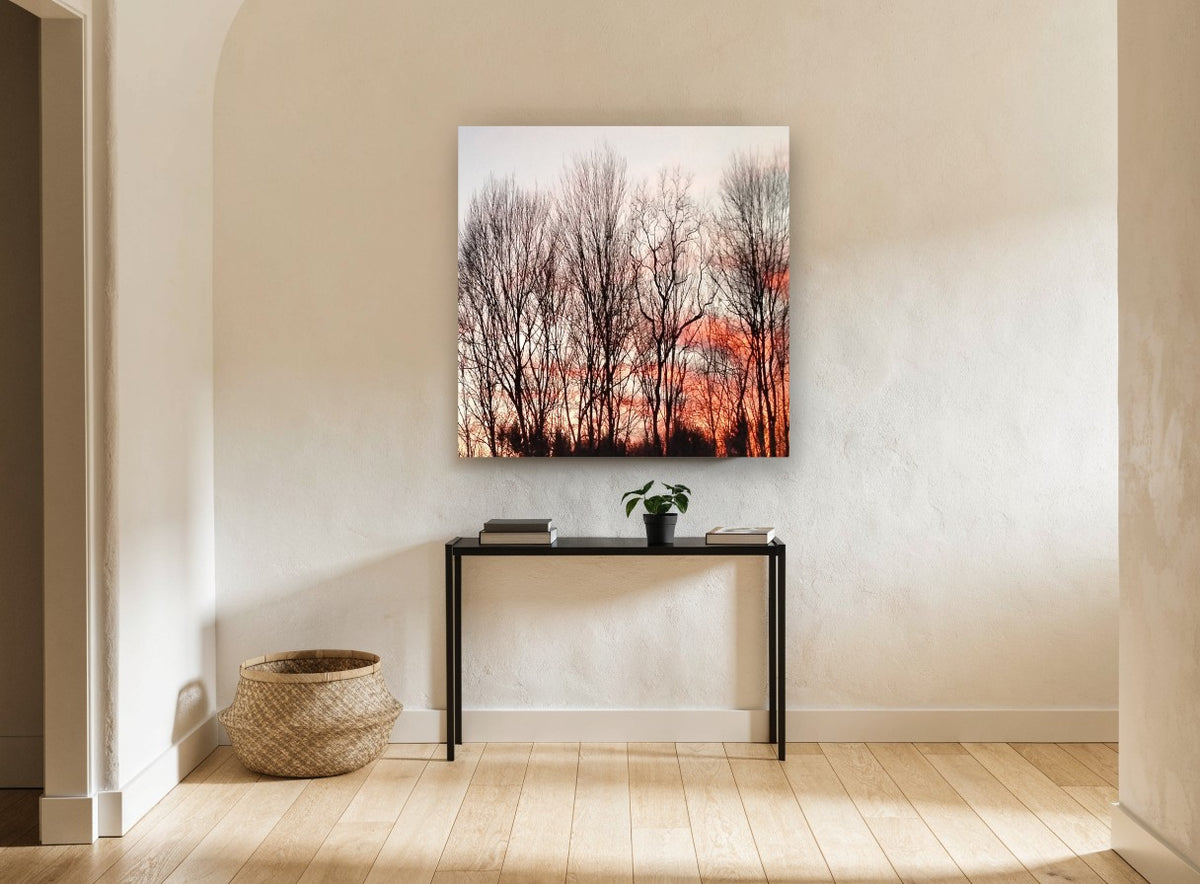 Bare Trees at Dusk floral canvas print on the wall of a hallway