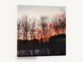 Winter Trees at Dusk, bare trees orange sunset photograph, floral canvas wall art print ready to hang
