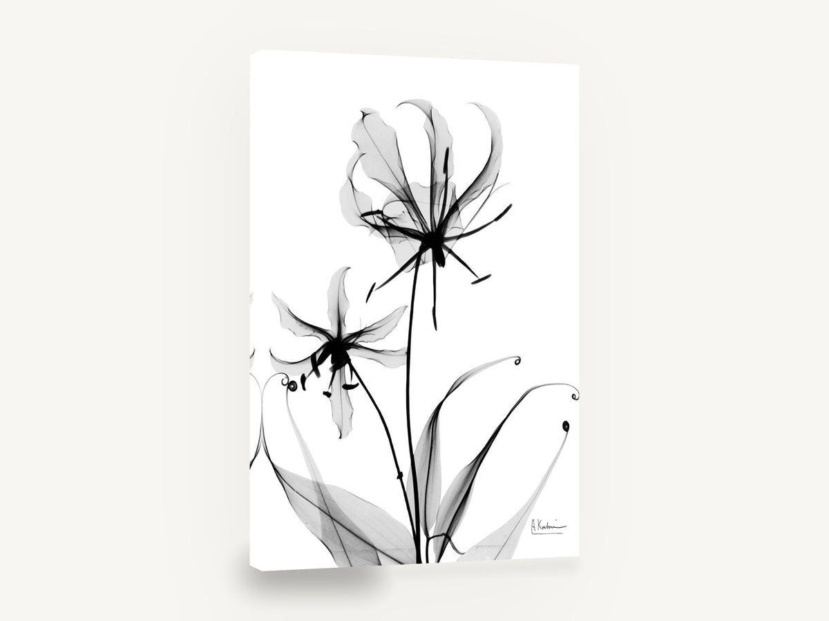 Gloriosa Lily Shadows, gloriosa lily x-ray black and white, floral canvas wall art print ready to hang