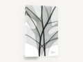 Shadow Lobed Leaf, lobed leaf x-ray black and white, floral canvas wall art print ready to hang