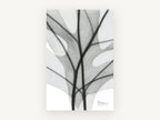 Shadow Lobed Leaf, floral canvas wall art print, front view