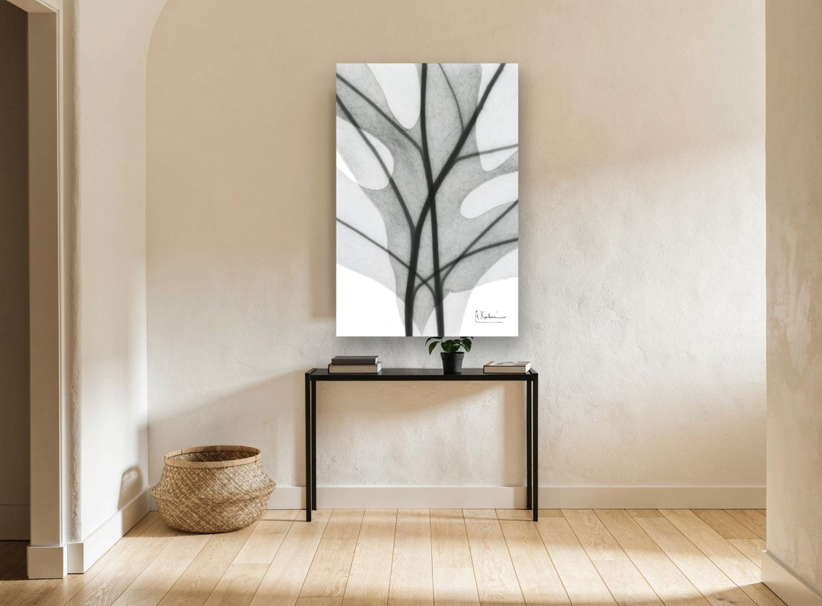 Shadow Lobed Leaf floral canvas print on the wall of a hallway