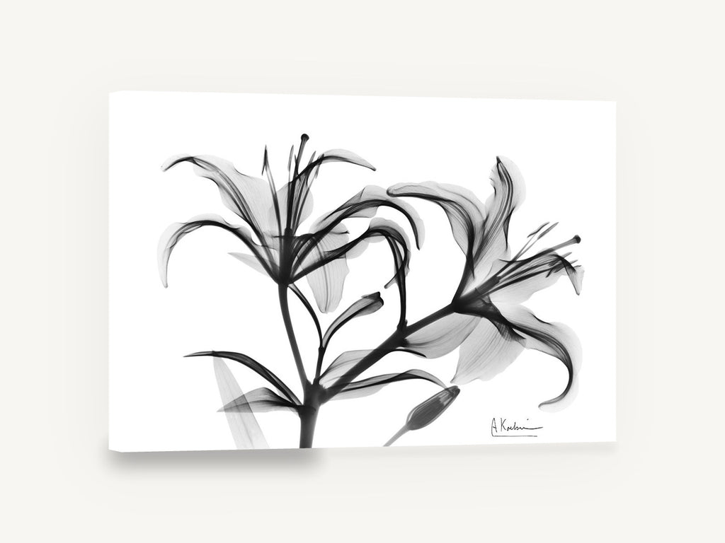 Lily Spray in Grey, black and white lily x-ray floral, floral canvas wall art print ready to hang