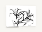 Lily Spray in Grey, black and white lily x-ray floral, floral canvas wall art print ready to hang