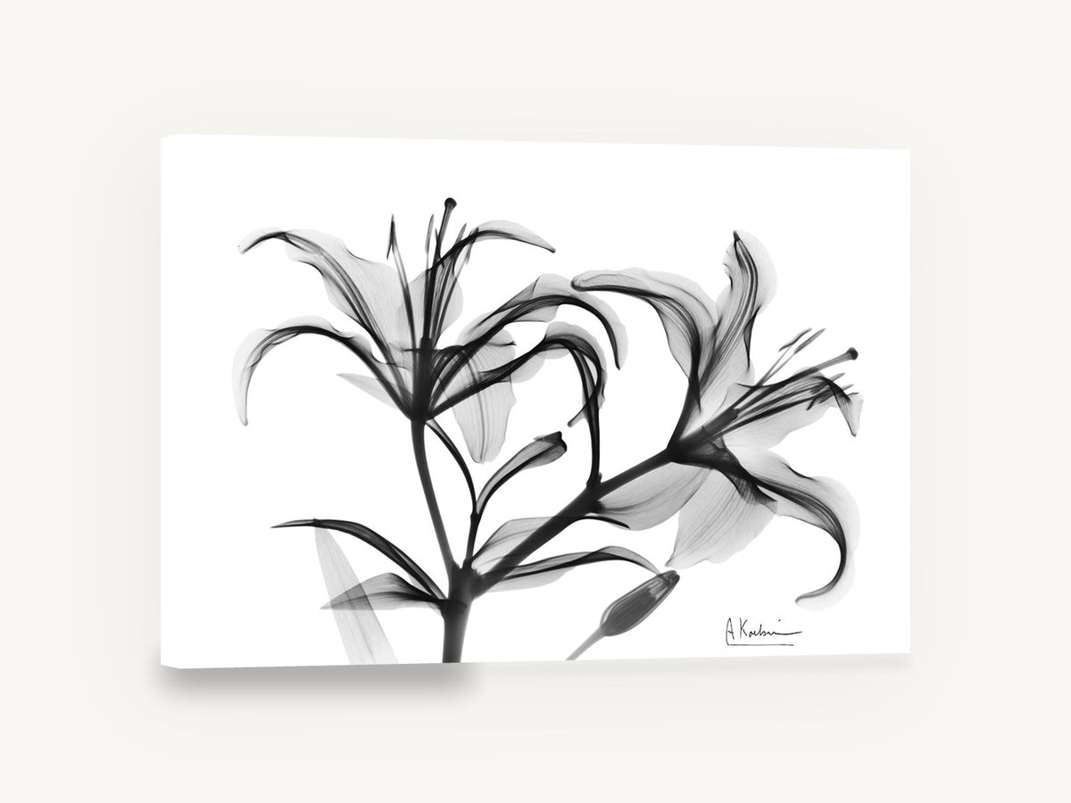 Lily Spray in Grey, black and white lily x-ray floral, floral canvas wall art print ready to hang