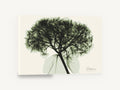 Green Hydrangea X-Ray, hydrangea x-ray botanical green, floral canvas wall art print ready to hang