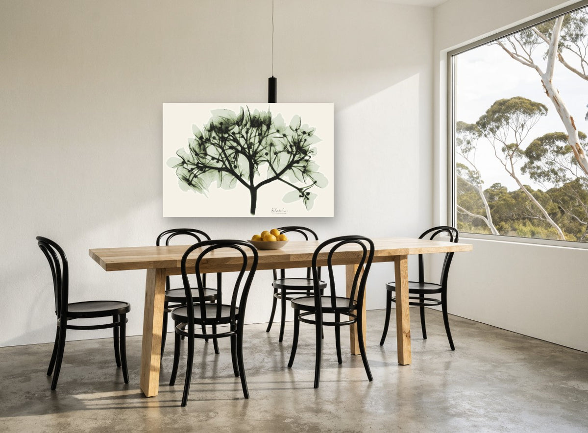 Sage Hydrangea X-ray floral canvas print on the wall of a dining room