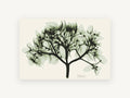 Sage Hydrangea X-ray, floral canvas wall art print, front view
