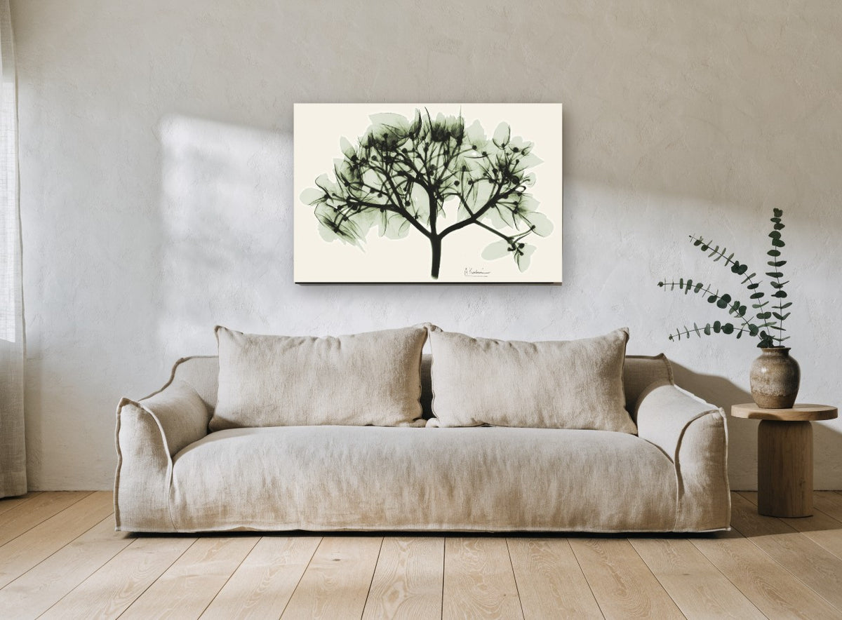 Sage Hydrangea X-ray floral canvas print on the wall of a living room