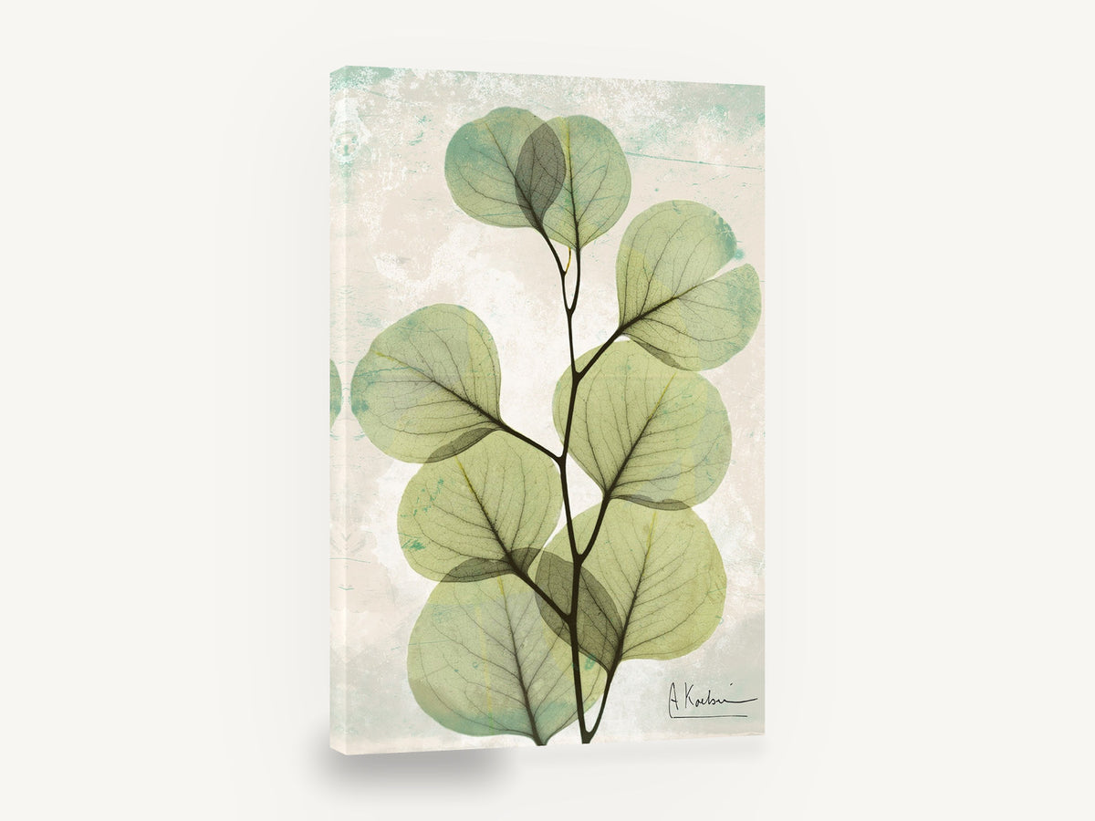 Sage Eucalyptus Veil, translucent eucalyptus leaves botanical, floral canvas wall art print ready to hang