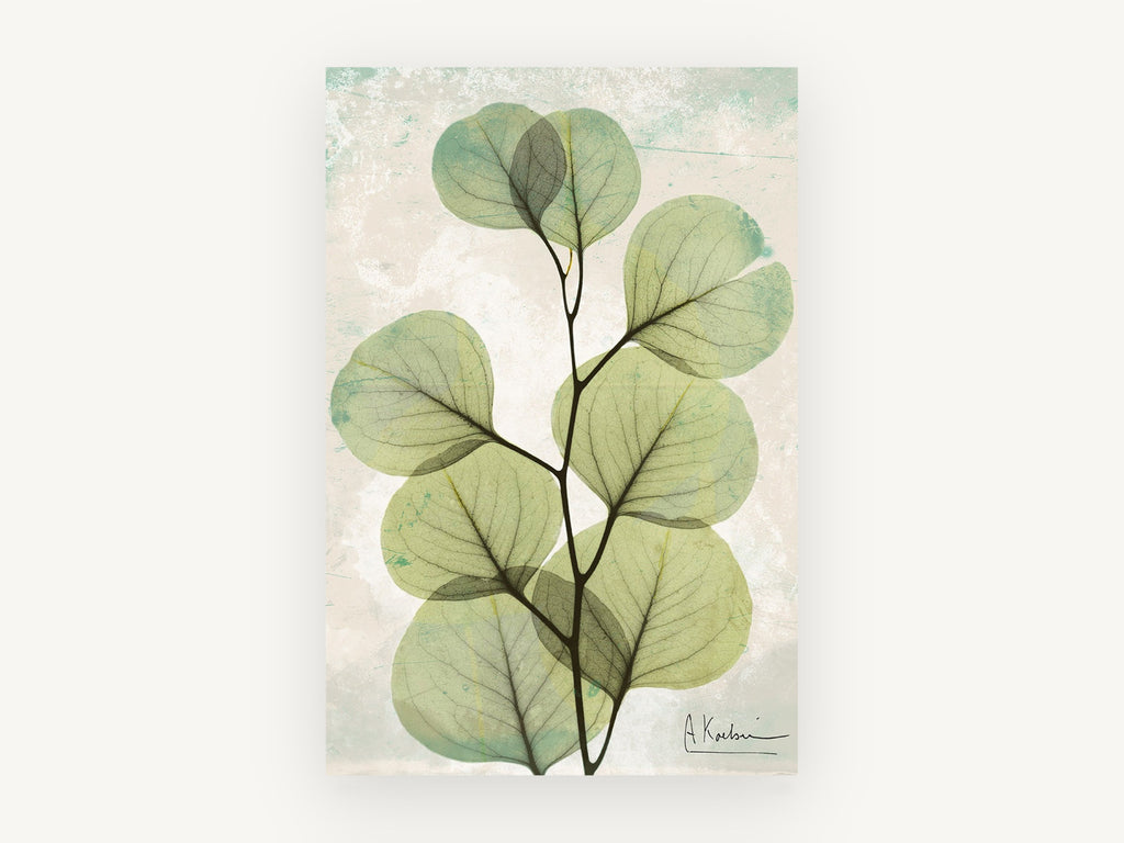 Sage Eucalyptus Veil, floral canvas wall art print, front view