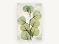 Sage Eucalyptus Veil, floral canvas wall art print, front view