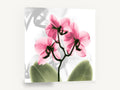 Pink Orchid Glow, pink orchid x-ray style floral, floral canvas wall art print ready to hang