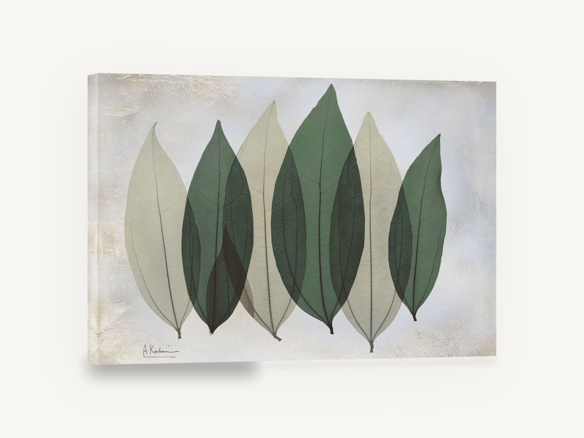 Six Sage Leaves, translucent green leaves botanical, floral canvas wall art print ready to hang