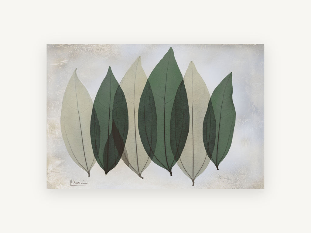 Six Sage Leaves, floral canvas wall art print, front view