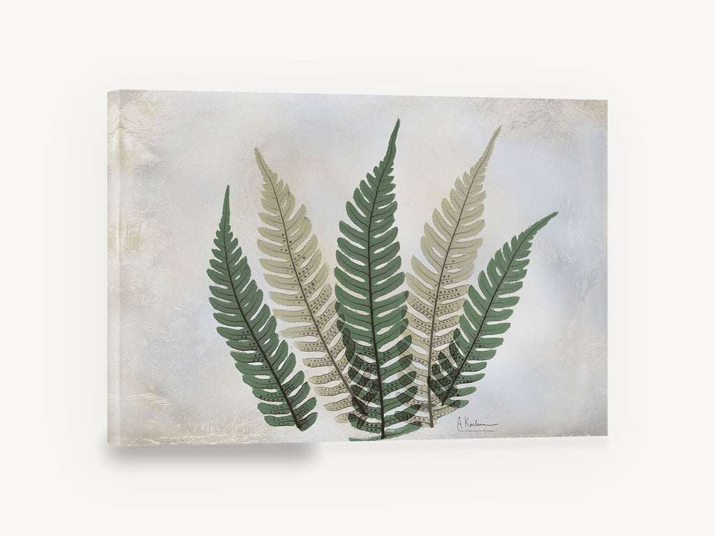 Five Fern Fronds, green fern fronds botanical illustration, floral canvas wall art print ready to hang