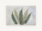 Five Fern Fronds, floral canvas wall art print, front view