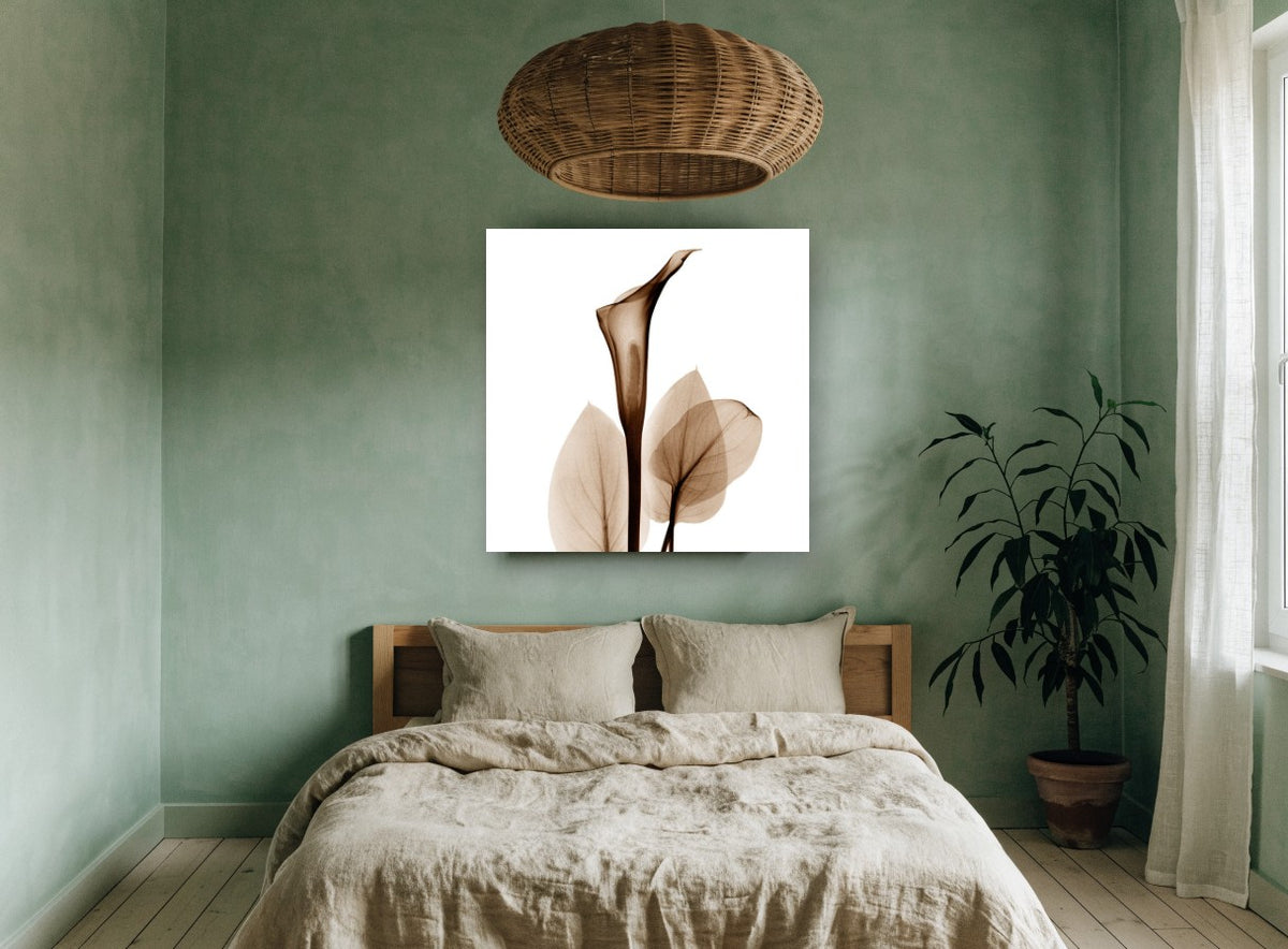 Sepia Calla Veil floral canvas print on the wall of a bedroom