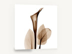 Sepia Calla Veil, sepia calla lily x-ray botanical, floral canvas wall art print ready to hang