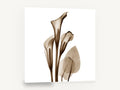 Sepia Calla Trio, sepia calla lily x-ray botanical, floral canvas wall art print ready to hang