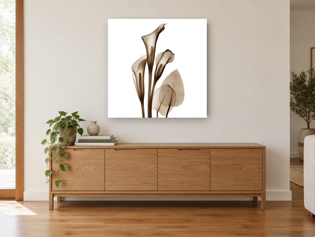Sepia Calla Trio floral canvas print on the wall of a living room above a sideboard